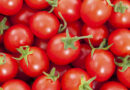 Les bienfaits des tomates cerises