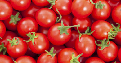 Les bienfaits des tomates cerises